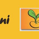 Open Days in MakroVita Ginger organic shop