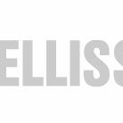 New collection and new trends in Bellissima