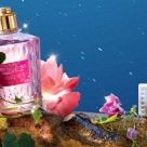 Čarobna L'Occitane ponuda