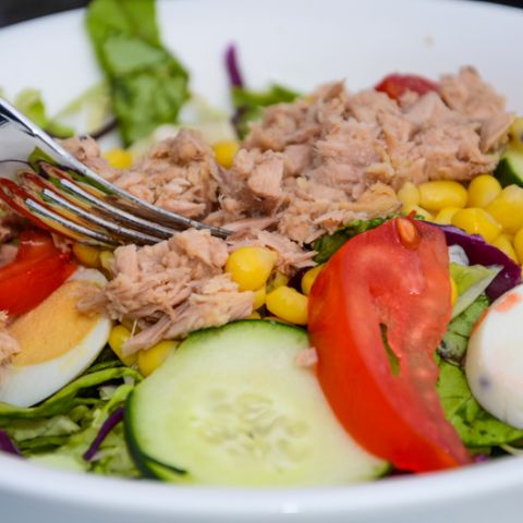 Akcija Klopaj za 10 u restoranu Zrno