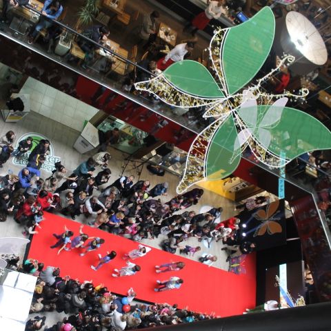 BBI Center celebrated its sixth birthday