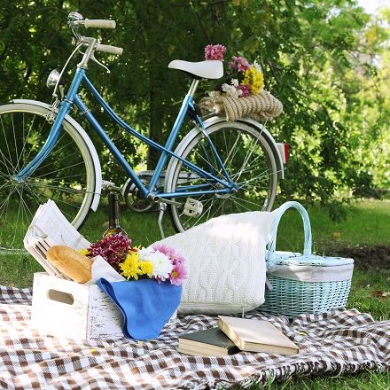 Working hours of BBI Center