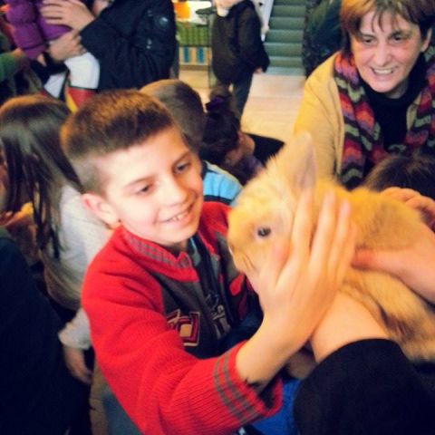 Liloland u BBI Centru