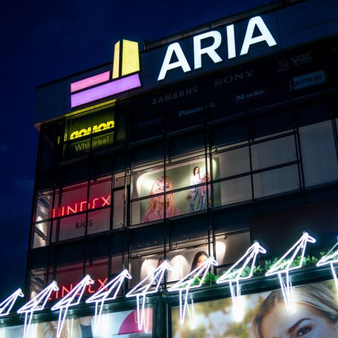 ARIA in flowers by night